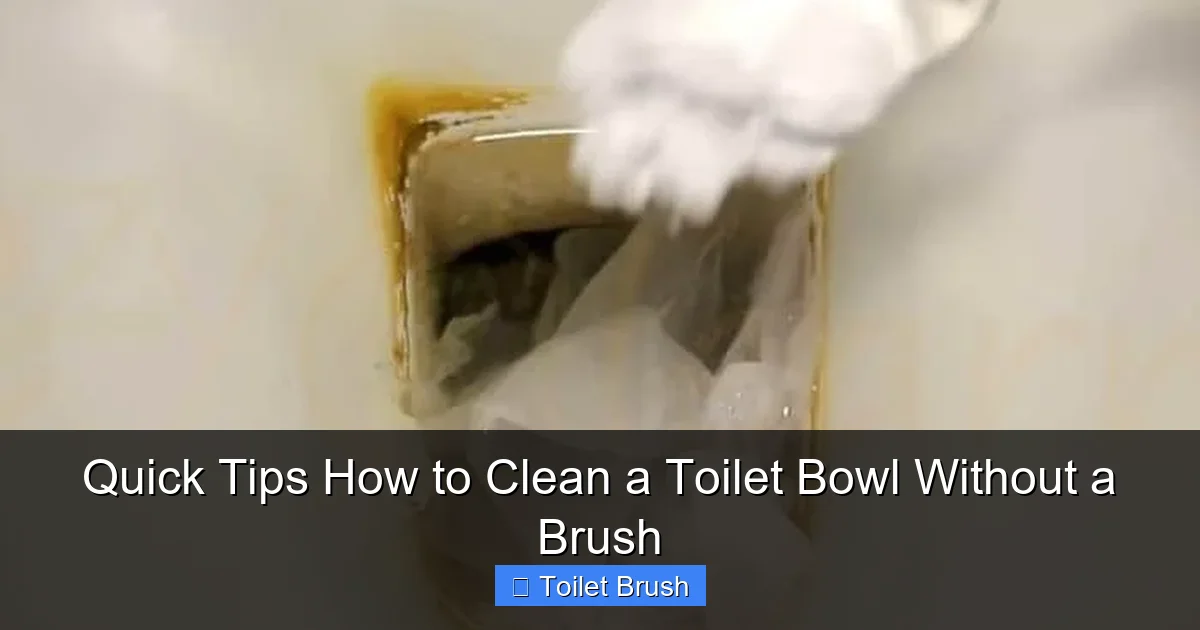Quick Tips How to Clean a Toilet Bowl Without a Brush