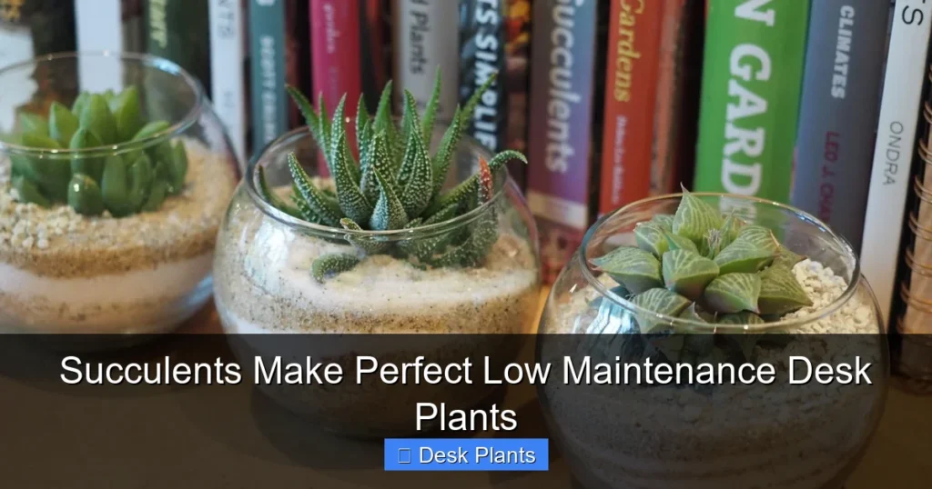 Succulents Make Perfect Low Maintenance Desk Plants
