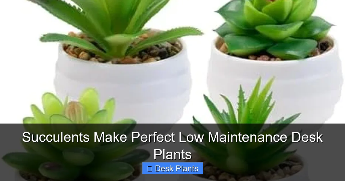 Succulents Make Perfect Low Maintenance Desk Plants
