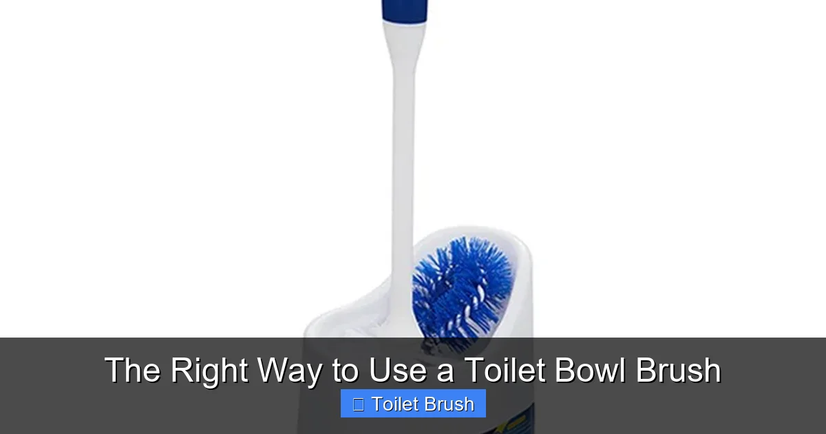The Right Way to Use a Toilet Bowl Brush
