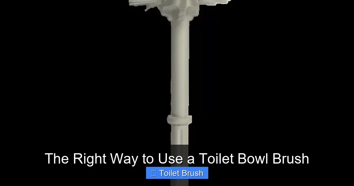The Right Way to Use a Toilet Bowl Brush