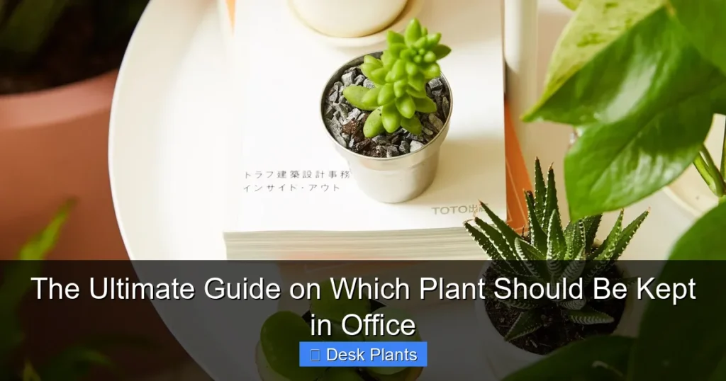 The Ultimate Guide on Which Plant Should Be Kept in Office