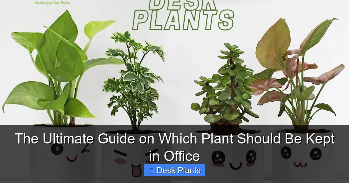 The Ultimate Guide on Which Plant Should Be Kept in Office