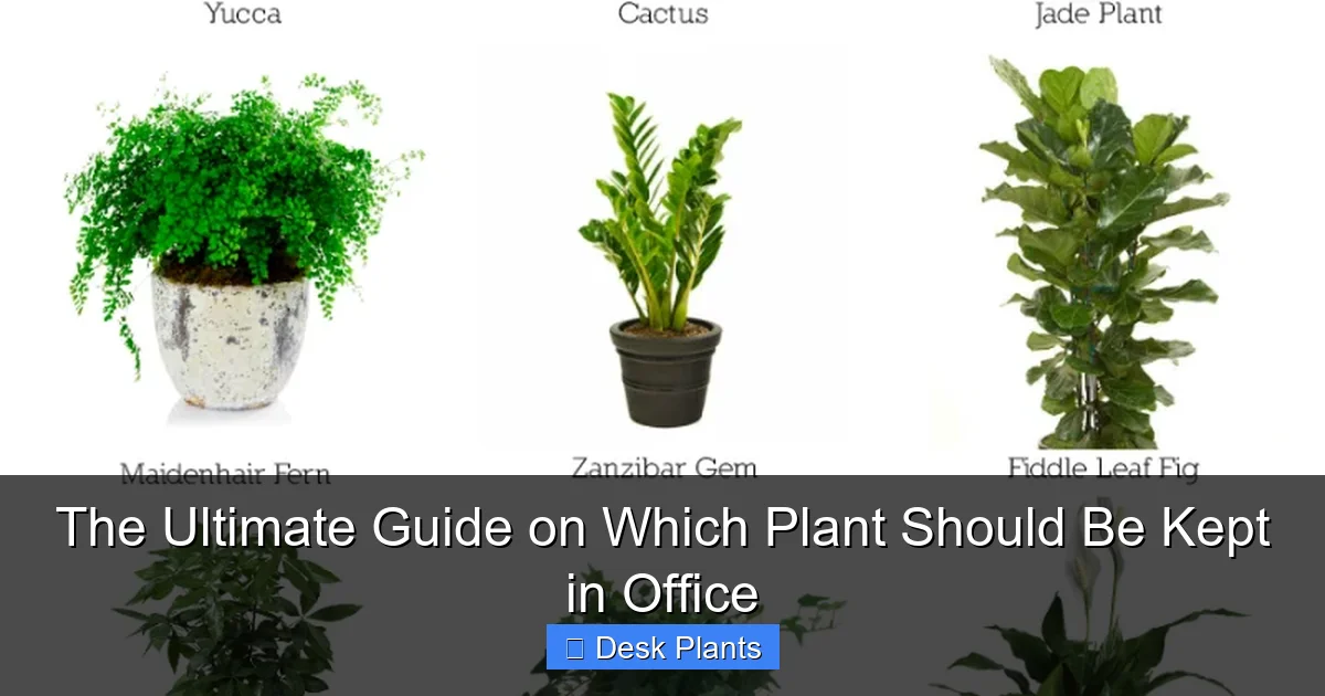 The Ultimate Guide on Which Plant Should Be Kept in Office