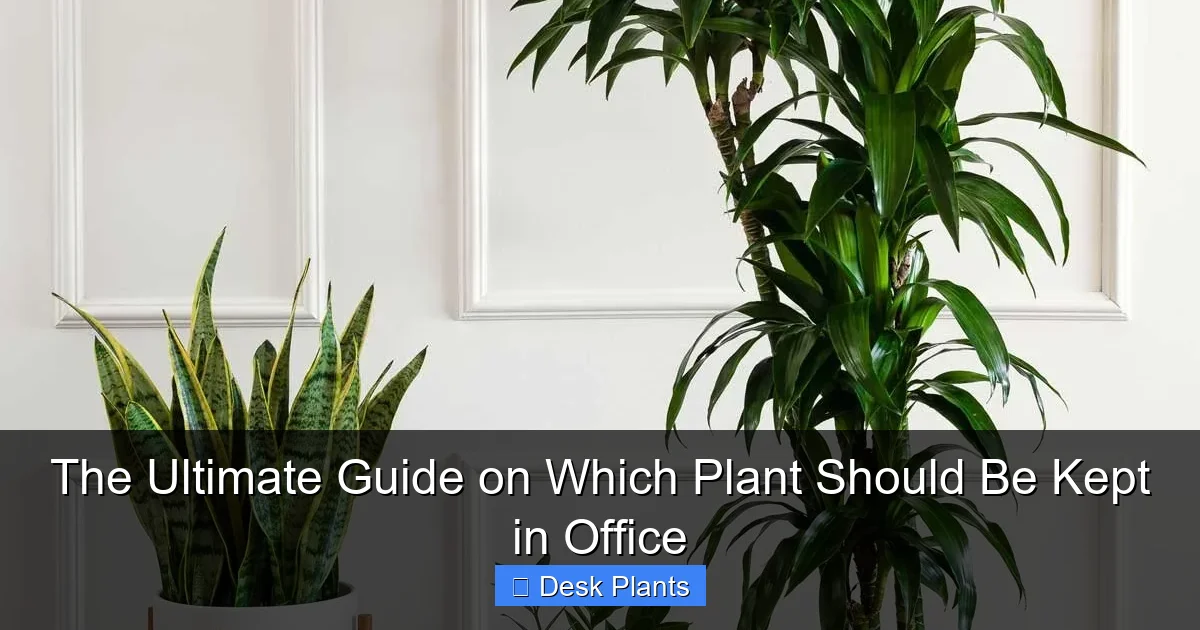 The Ultimate Guide on Which Plant Should Be Kept in Office