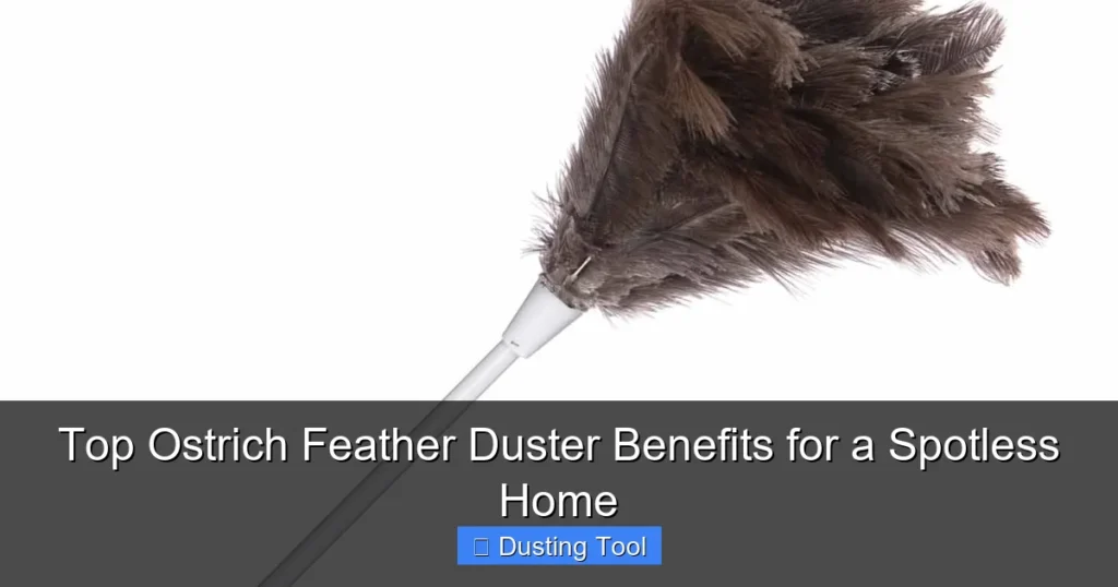 Top Ostrich Feather Duster Benefits for a Spotless Home