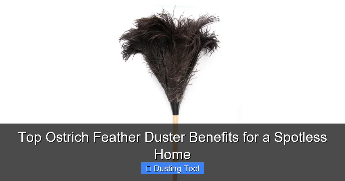 Top Ostrich Feather Duster Benefits for a Spotless Home