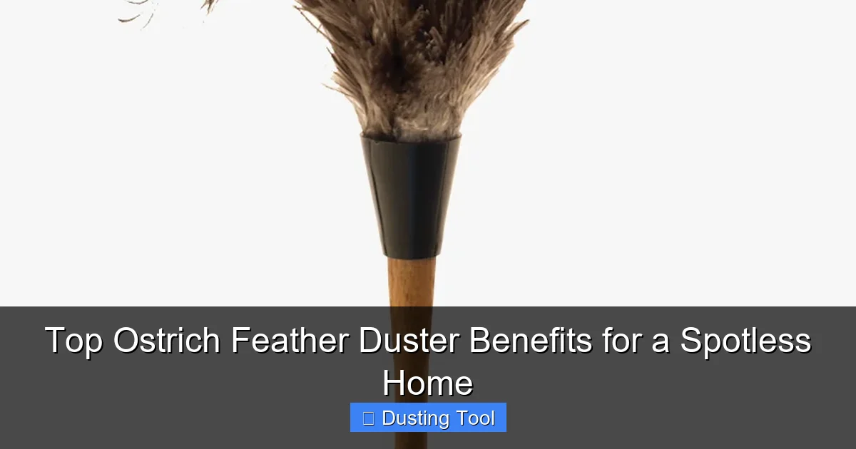 Top Ostrich Feather Duster Benefits for a Spotless Home