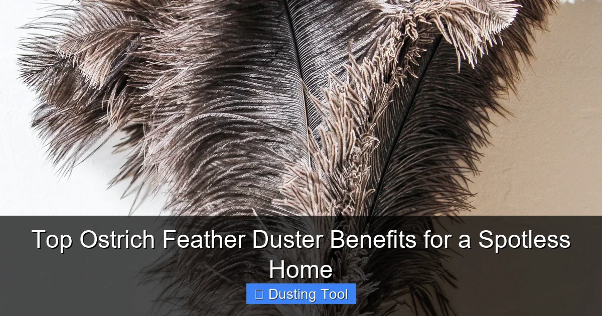 Top Ostrich Feather Duster Benefits for a Spotless Home
