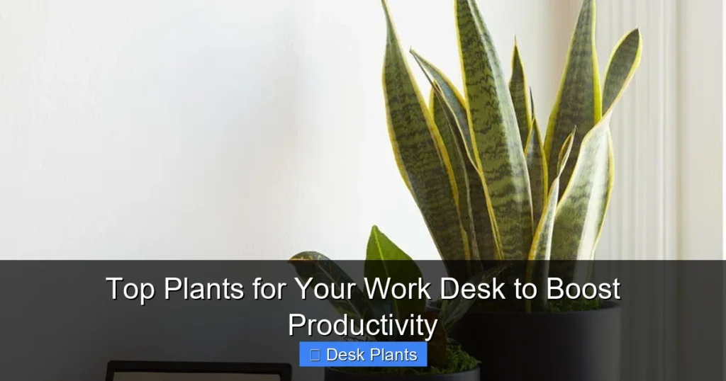 Top Plants for Your Work Desk to Boost Productivity
