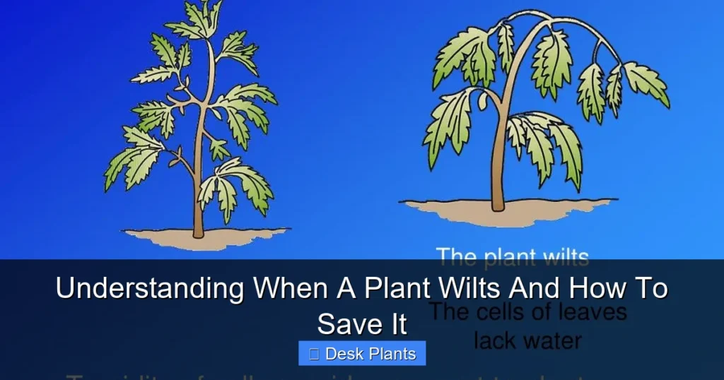 Understanding When A Plant Wilts And How To Save It
