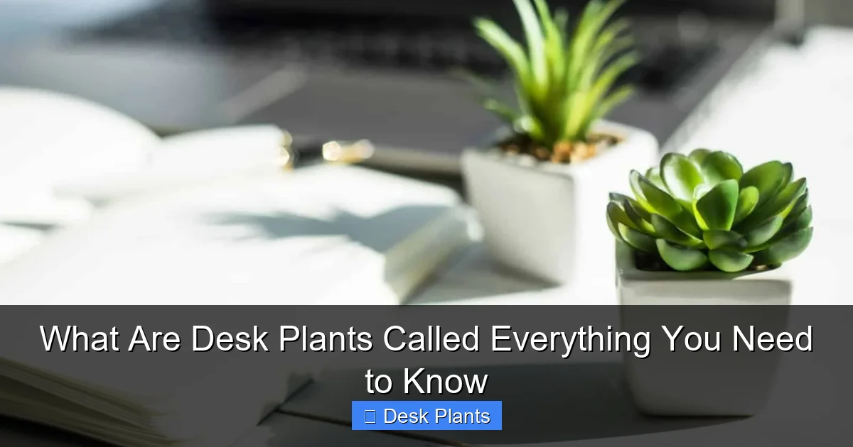 What Are Desk Plants Called Everything You Need to Know