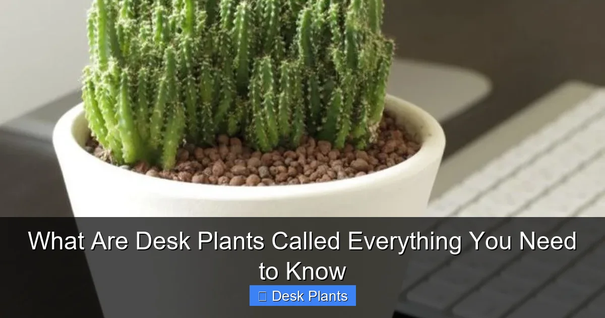 What Are Desk Plants Called Everything You Need to Know