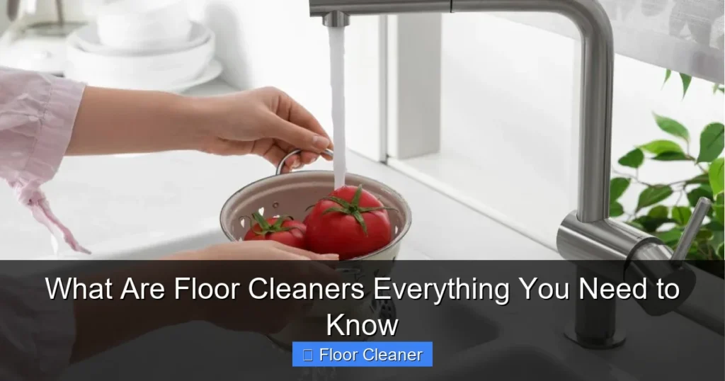 What Are Floor Cleaners Everything You Need to Know
