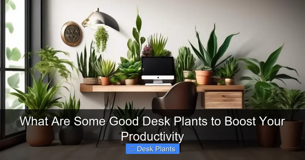 What Are Some Good Desk Plants to Boost Your Productivity