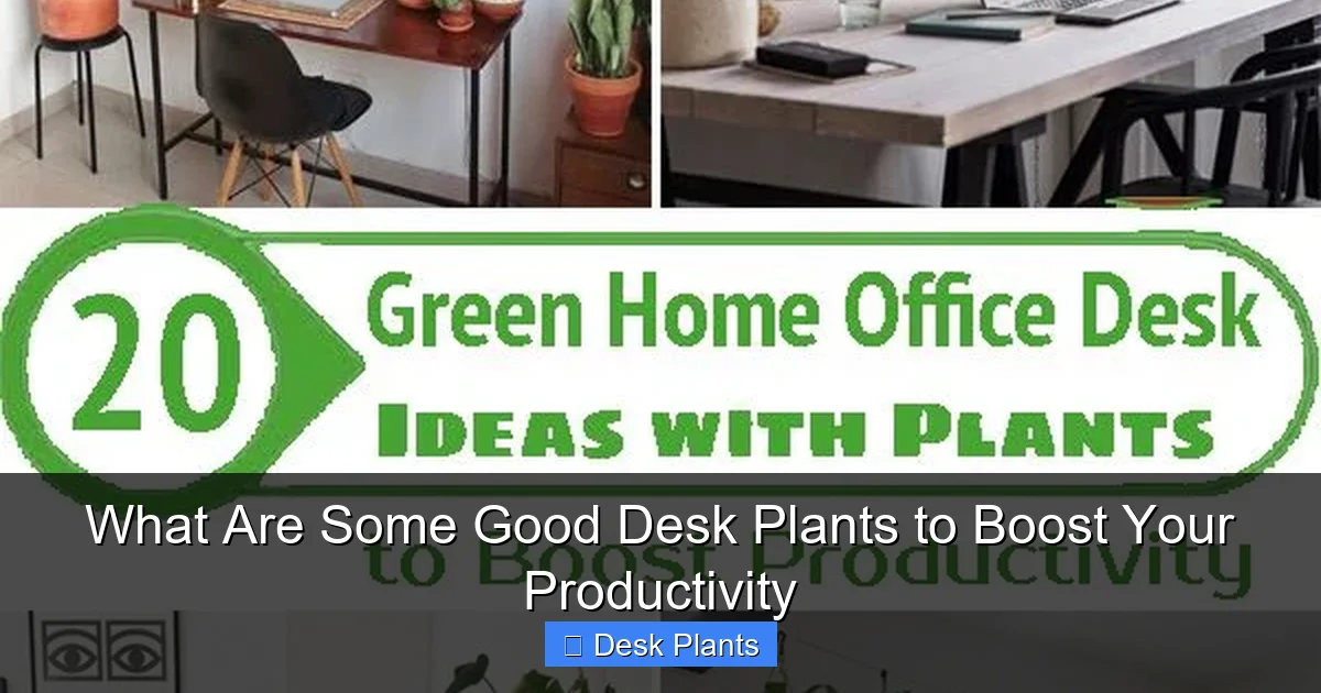 What Are Some Good Desk Plants to Boost Your Productivity