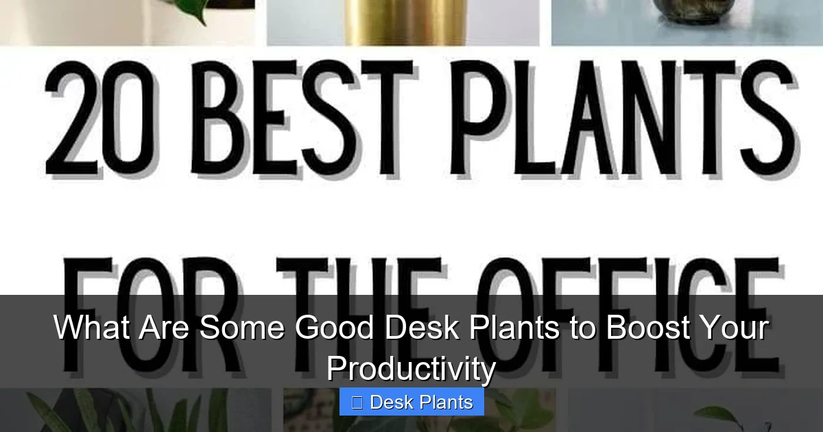 What Are Some Good Desk Plants to Boost Your Productivity