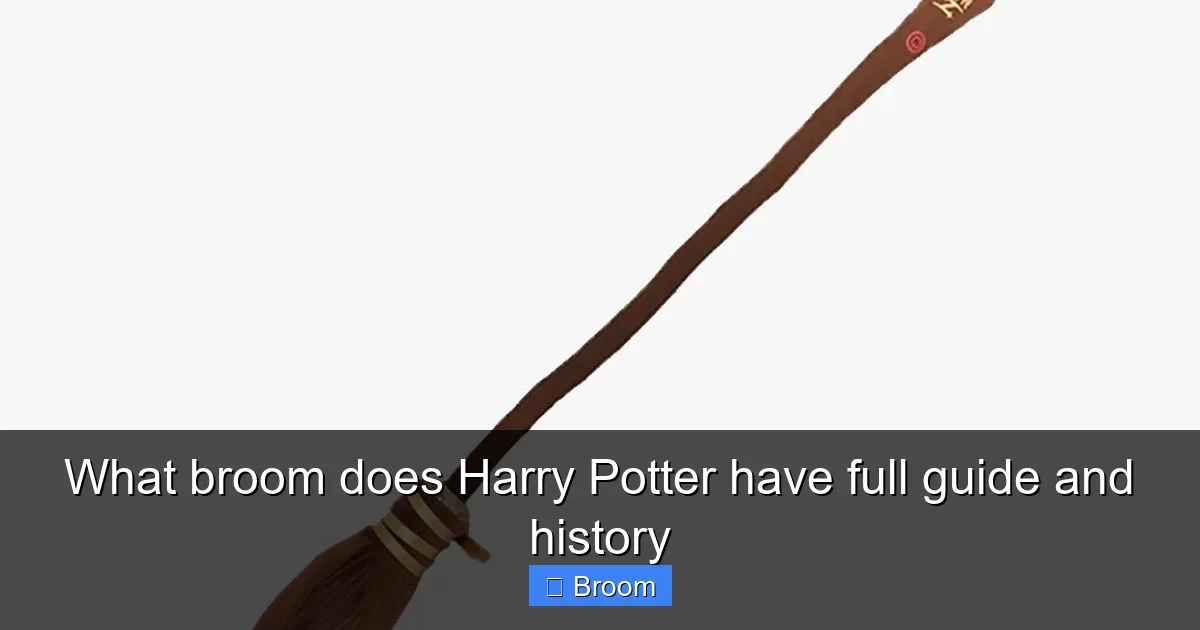 What broom does Harry Potter have full guide and history