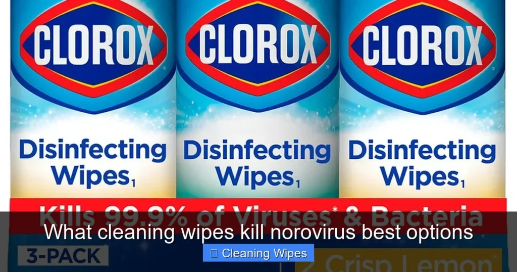 What cleaning wipes kill norovirus best options