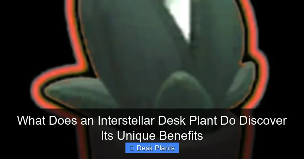 What Does an Interstellar Desk Plant Do Discover Its Unique Benefits