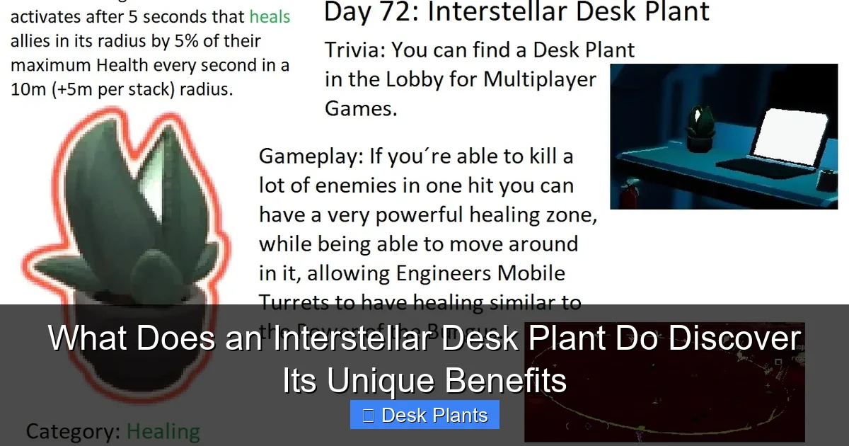 What Does an Interstellar Desk Plant Do Discover Its Unique Benefits