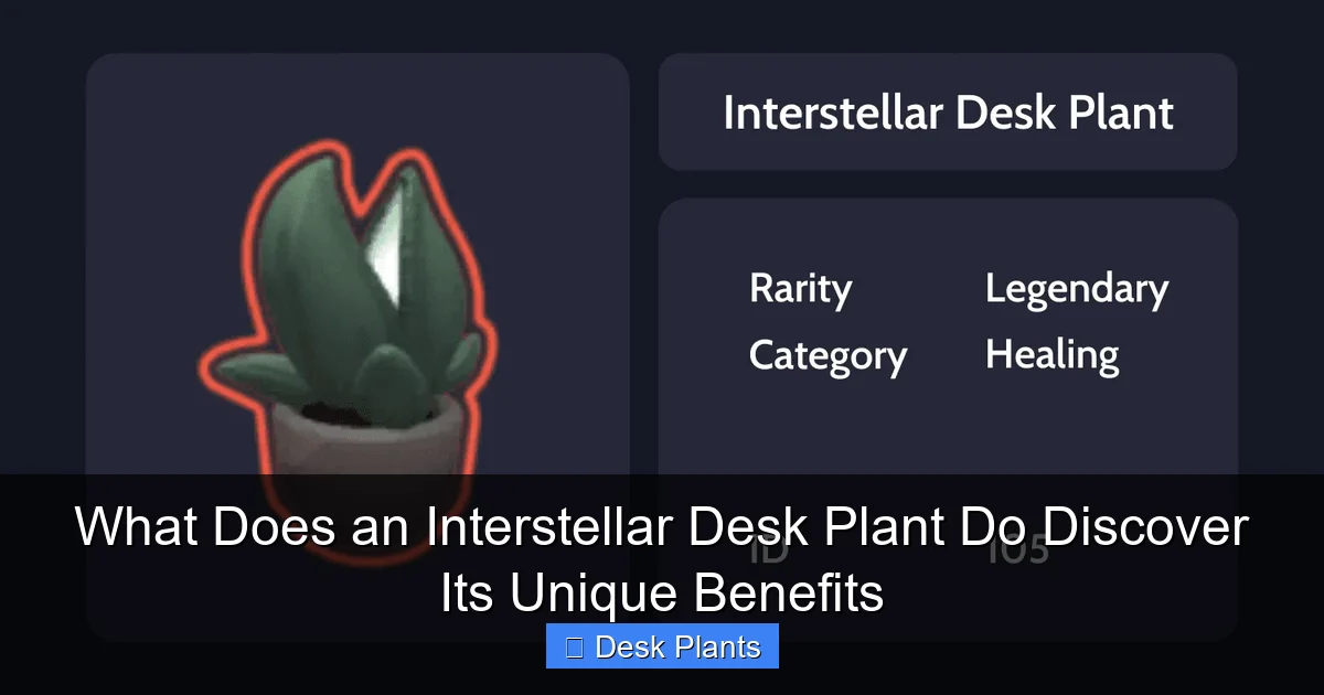 What Does an Interstellar Desk Plant Do Discover Its Unique Benefits