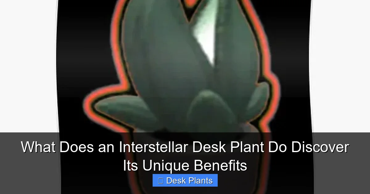 What Does an Interstellar Desk Plant Do Discover Its Unique Benefits
