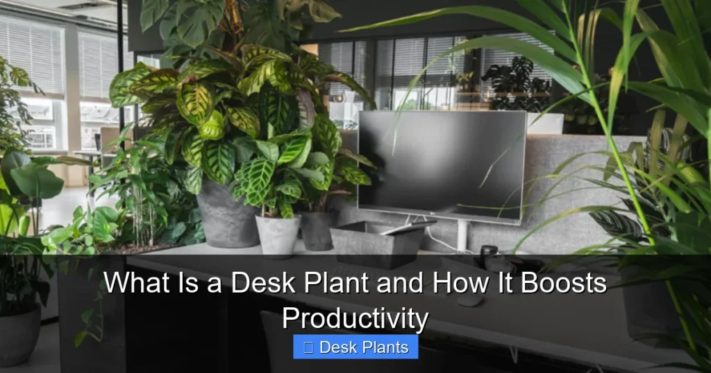 What Is a Desk Plant and How It Boosts Productivity