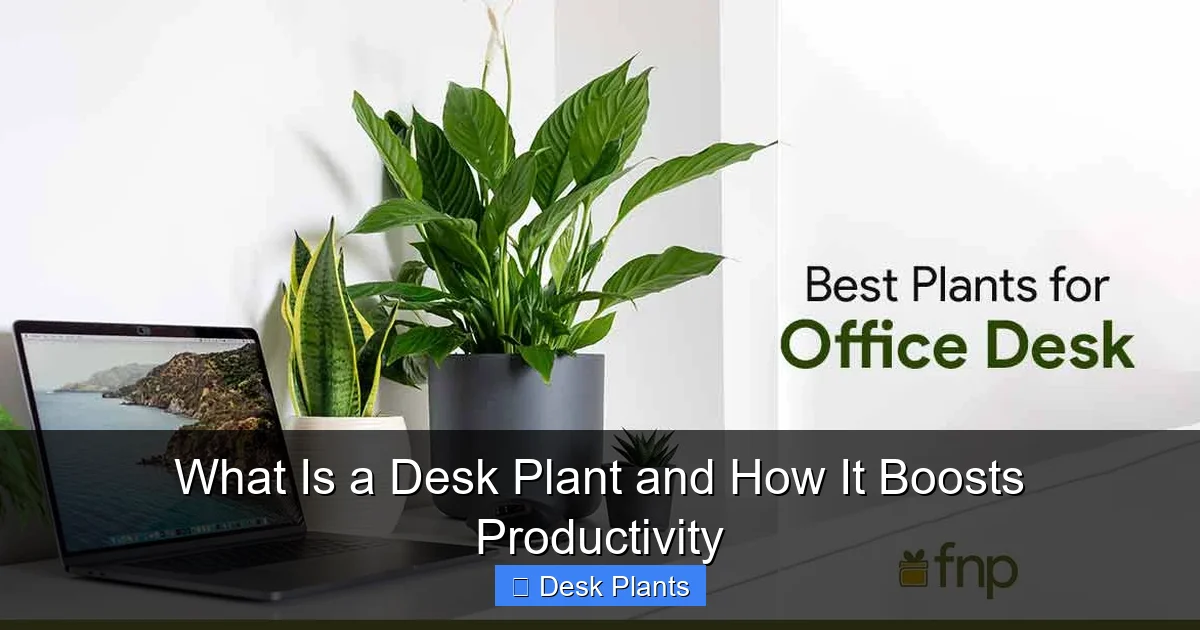 What Is a Desk Plant and How It Boosts Productivity