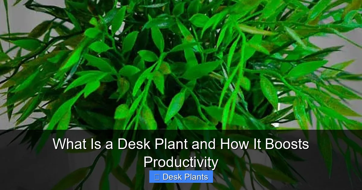 What Is a Desk Plant and How It Boosts Productivity