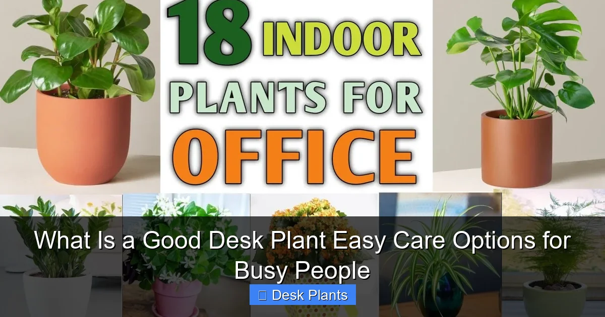 What Is a Good Desk Plant Easy Care Options for Busy People
