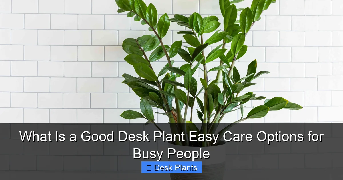 What Is a Good Desk Plant Easy Care Options for Busy People