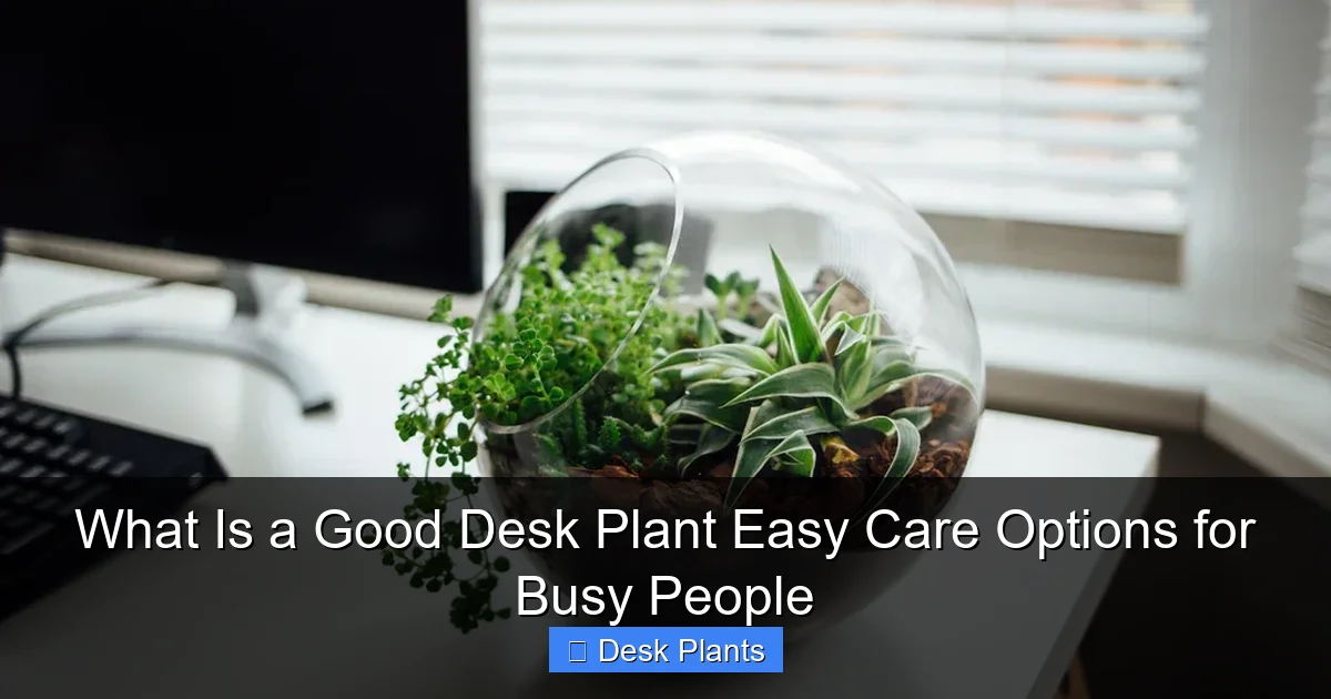 What Is a Good Desk Plant Easy Care Options for Busy People