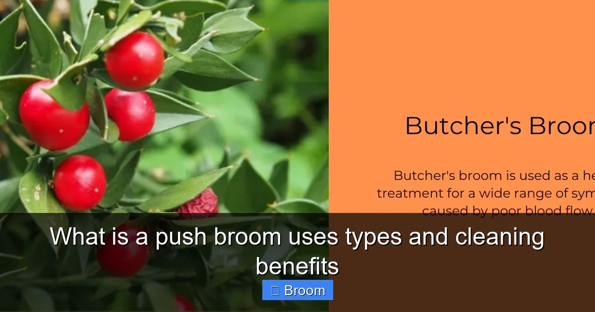 What is a push broom uses types and cleaning benefits