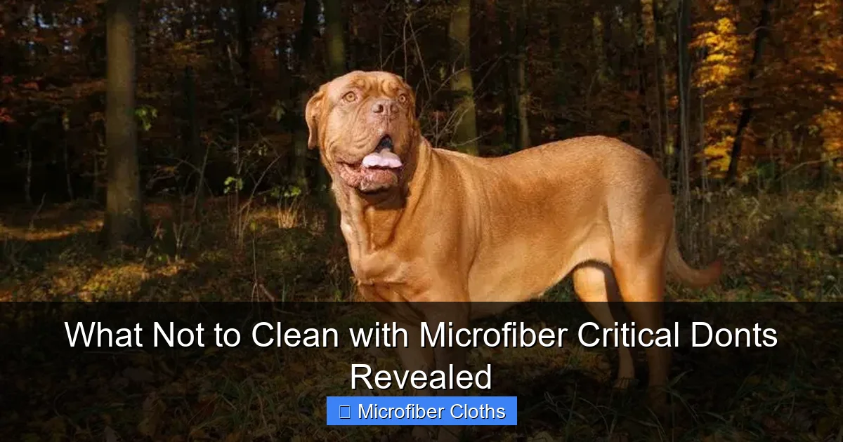What Not to Clean with Microfiber Critical Donts Revealed