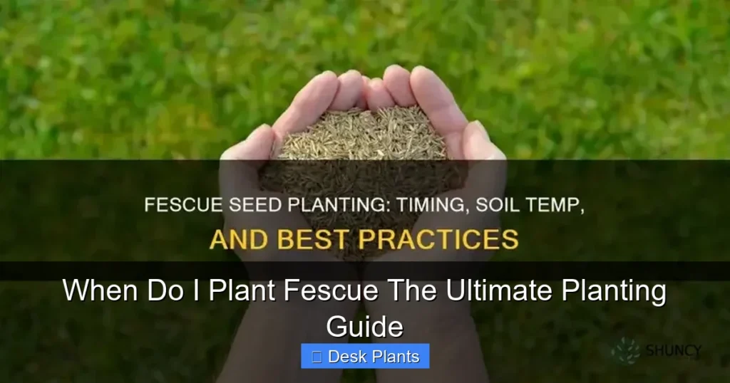 When Do I Plant Fescue The Ultimate Planting Guide