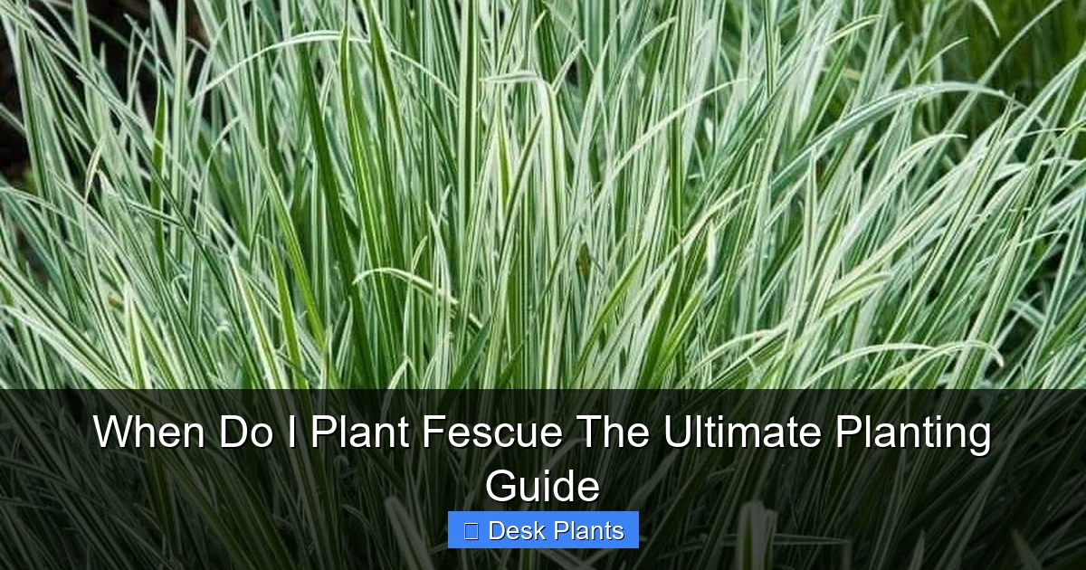 When Do I Plant Fescue The Ultimate Planting Guide