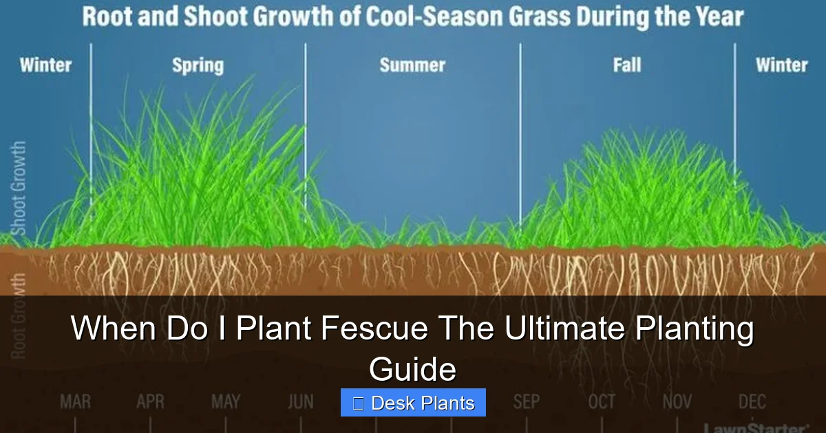 When Do I Plant Fescue The Ultimate Planting Guide