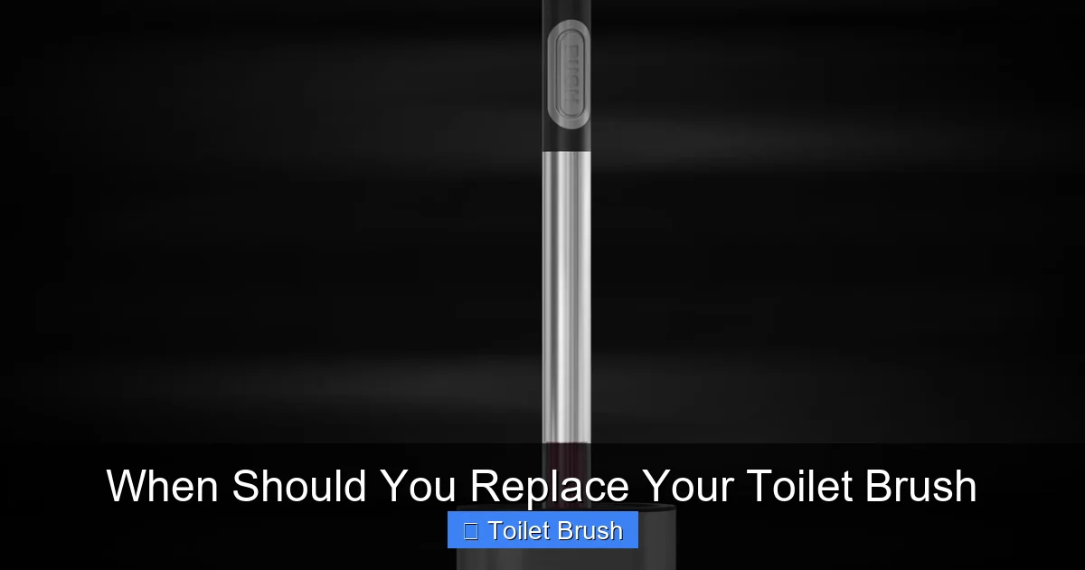 When Should You Replace Your Toilet Brush