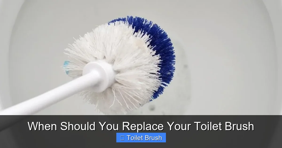 When Should You Replace Your Toilet Brush