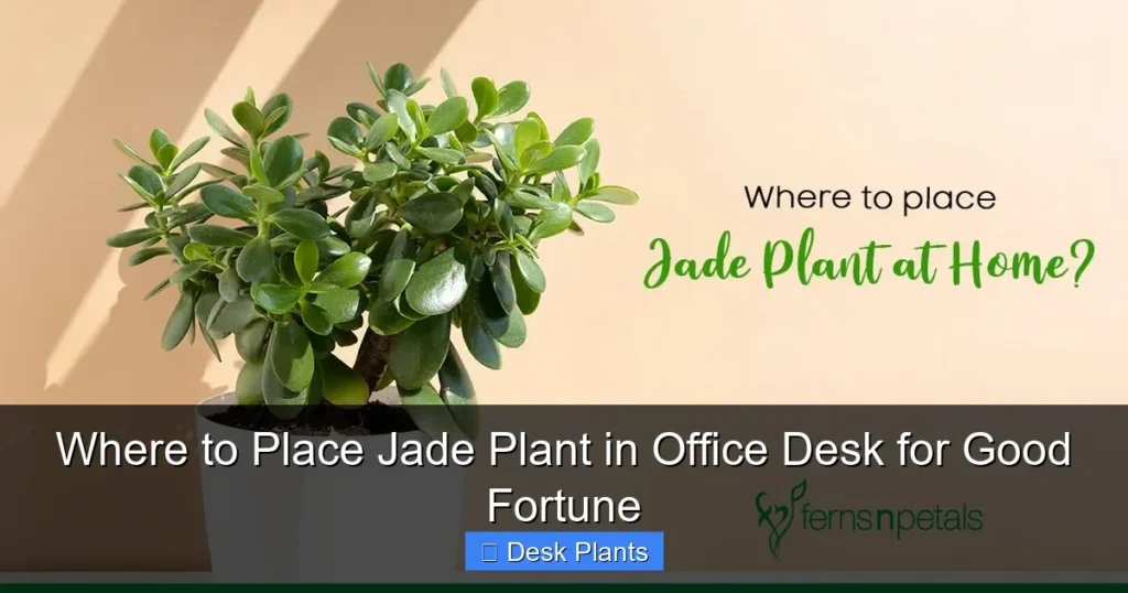 Where to Place Jade Plant in Office Desk for Good Fortune