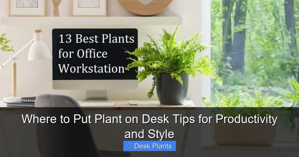 Where to Put Plant on Desk Tips for Productivity and Style