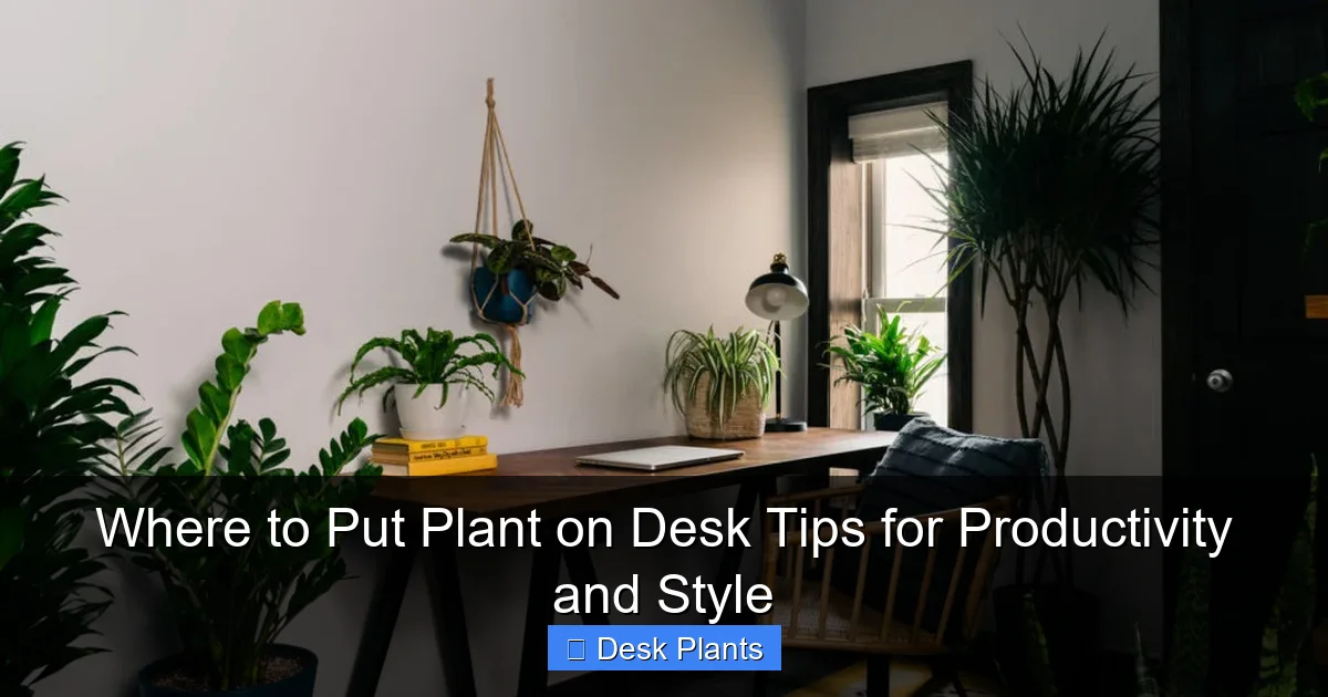 Where to Put Plant on Desk Tips for Productivity and Style