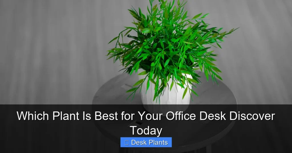 Which Plant Is Best for Your Office Desk Discover Today