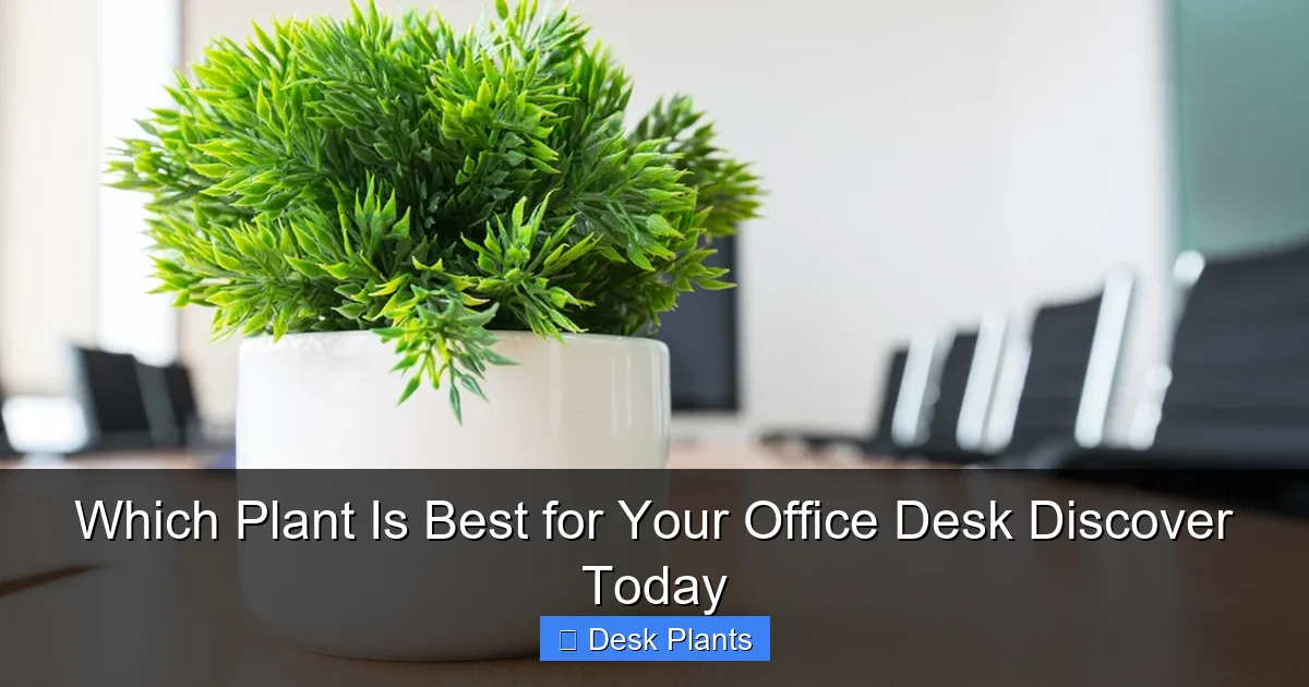 Which Plant Is Best for Your Office Desk Discover Today