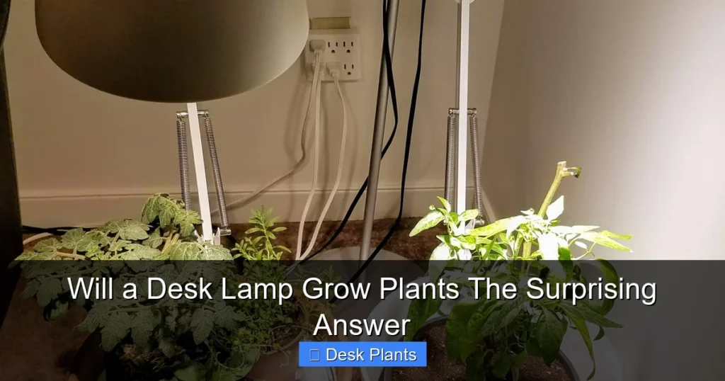 Will a Desk Lamp Grow Plants The Surprising Answer